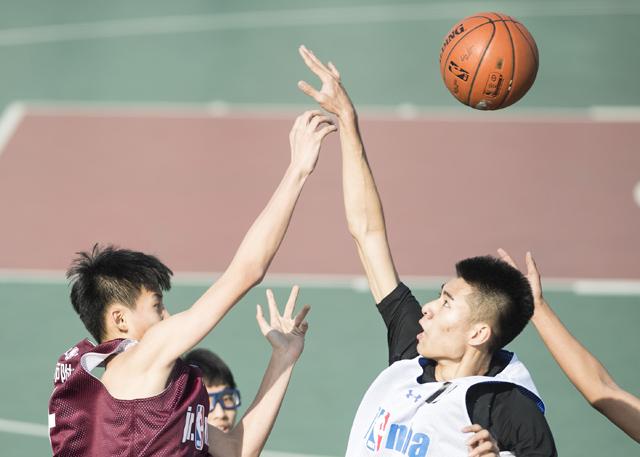 seo综合