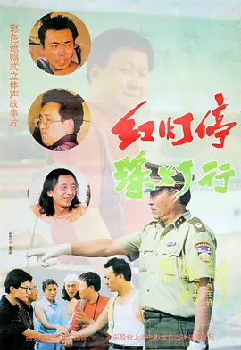 枫花恋车牌