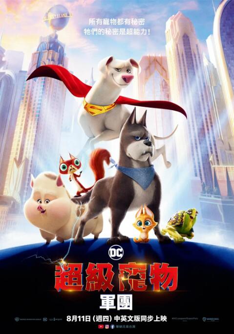一级中文字幕