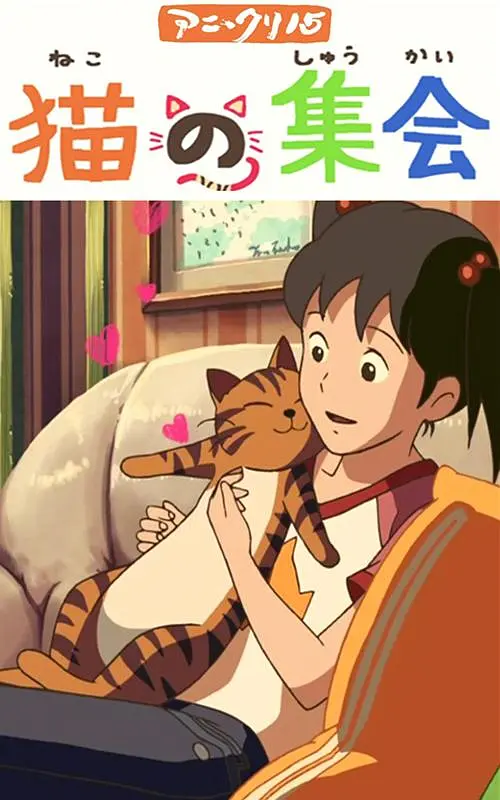 美女视频一区二区三区在线