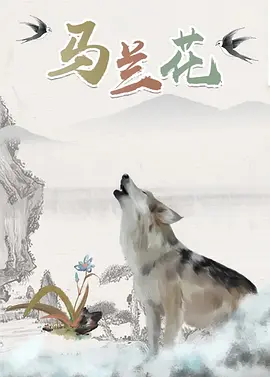 我的小男人
