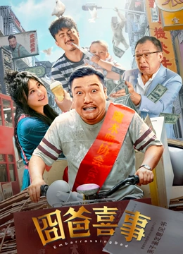 噼里啪啦电视剧在线观看播放