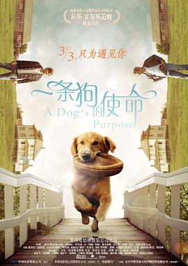 丁香花五月天婷婷