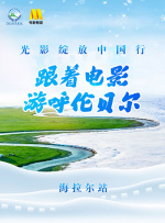91视频精选