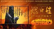 一级欧美一级日韩片