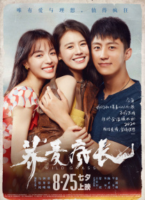 99久久综合狠狠综合久久aⅴ