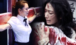 麻豆视频免费看
